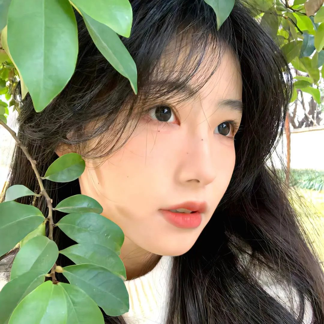 老友记第一季